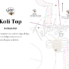 Koli Top Patron (Français) - Image 4
